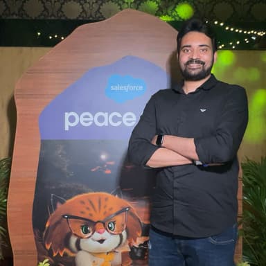Bhargav Ramesh - Salesforce Expert